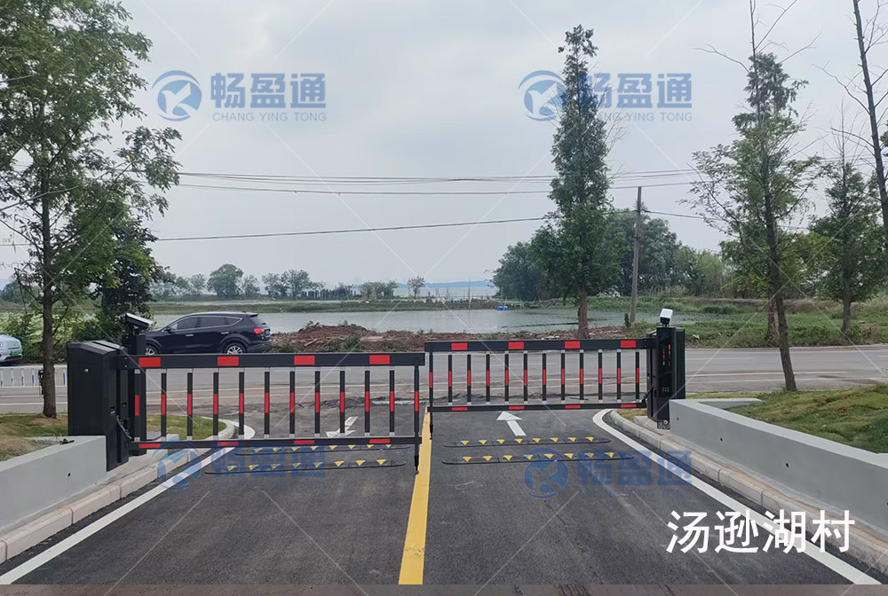 湯遜湖出車牌識別